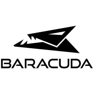 Baracuda