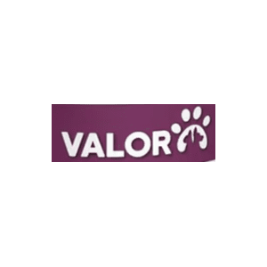 Valor